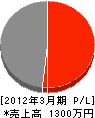 三栄企業 損益計算書 2012年3月期