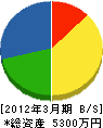 川本建装 貸借対照表 2012年3月期