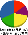 佐野塗装工業 貸借対照表 2011年12月期