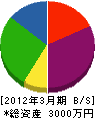杉本電機商会 貸借対照表 2012年3月期