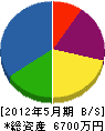 岩松建設 貸借対照表 2012年5月期