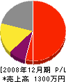 藤原電工 損益計算書 2008年12月期