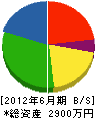龍征ボーリング工業 貸借対照表 2012年6月期
