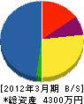 山本建設 貸借対照表 2012年3月期