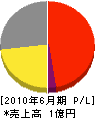 中田電気商会 損益計算書 2010年6月期