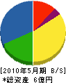 柳沢建設 貸借対照表 2010年5月期