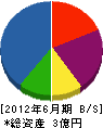 沢田商店 貸借対照表 2012年6月期