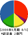 入江建設 貸借対照表 2008年6月期