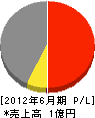 中島電工 損益計算書 2012年6月期