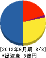 横浜化工建設 貸借対照表 2012年6月期