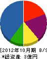 日本制御システム 貸借対照表 2012年10月期