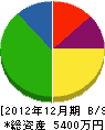 柄沢石材店 貸借対照表 2012年12月期