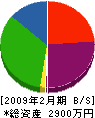 郷中電気 貸借対照表 2009年2月期