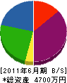 大崎住設 貸借対照表 2011年6月期