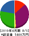 澤田組 貸借対照表 2010年4月期