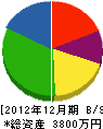 三栄電工 貸借対照表 2012年12月期
