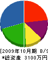 新栄電業 貸借対照表 2009年10月期