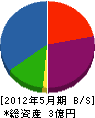 嶋源木建 貸借対照表 2012年5月期