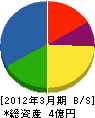 東京コーカ 貸借対照表 2012年3月期