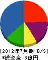 森田建設 貸借対照表 2012年7月期