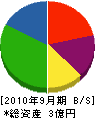 松井開発運輸 貸借対照表 2010年9月期