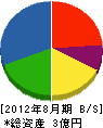 平田木材店 貸借対照表 2012年8月期