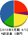 静岡水工 貸借対照表 2010年9月期