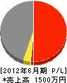 松井造園工務店 損益計算書 2012年6月期
