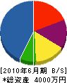 平塚建築 貸借対照表 2010年6月期