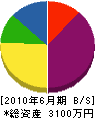 鶴岡ハクヨウ電機 貸借対照表 2010年6月期