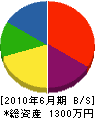 中沢電気商会 貸借対照表 2010年6月期