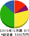 柄沢石材店 貸借対照表 2010年12月期