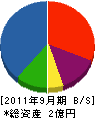 アクネス・シモマ 貸借対照表 2011年9月期