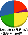 大倉ホーム 貸借対照表 2009年12月期