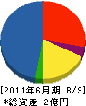 竹沢建設 貸借対照表 2011年6月期