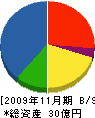 篠崎建設 貸借対照表 2009年11月期