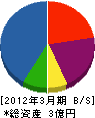 大晃建設 貸借対照表 2012年3月期