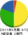 丸正商会 貸借対照表 2011年6月期