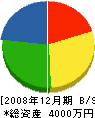 上野土木 貸借対照表 2008年12月期
