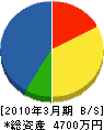 岩松産業 貸借対照表 2010年3月期