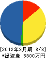 沖島電機 貸借対照表 2012年3月期