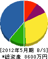 佐藤建設工業 貸借対照表 2012年5月期