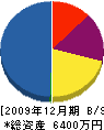 木嶋住設工業 貸借対照表 2009年12月期