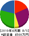 田尻 貸借対照表 2010年4月期