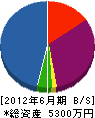 斉藤電気 貸借対照表 2012年6月期
