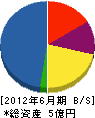 三浦建設工業 貸借対照表 2012年6月期