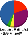 イケダ 貸借対照表 2008年9月期