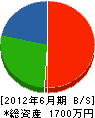 鶴岡企業 貸借対照表 2012年6月期
