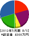 新田工業 貸借対照表 2012年5月期