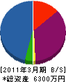 藤篠 貸借対照表 2011年3月期